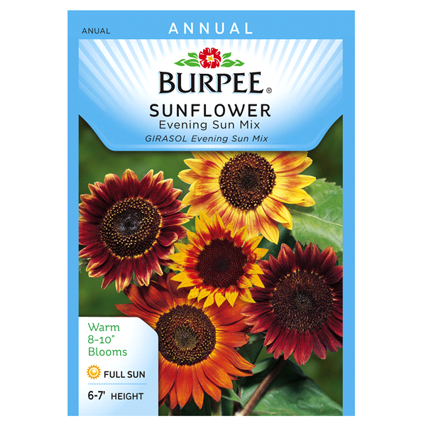 slide 1 of 1, Burpee Sunflower Evening Sun Mix Seeds, 1 ct