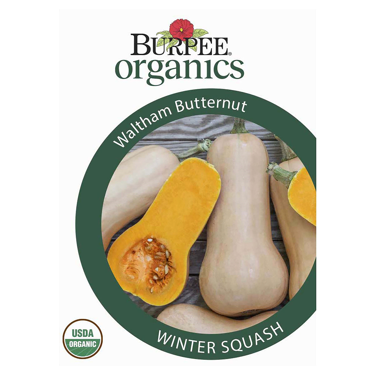 slide 1 of 5, Burpee Winter Squash Watham Butternut Seeds, 1 ct