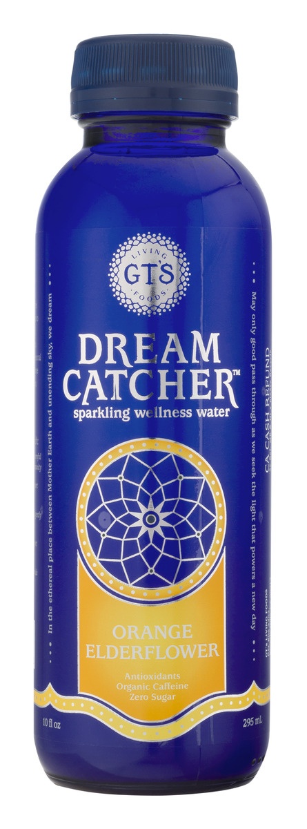 slide 1 of 1, GT's Dream Catcher Sparkling Wellness Water Orange Elderflower - 10 fl oz, 10 fl oz