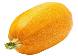Fresh Orangetti Squash