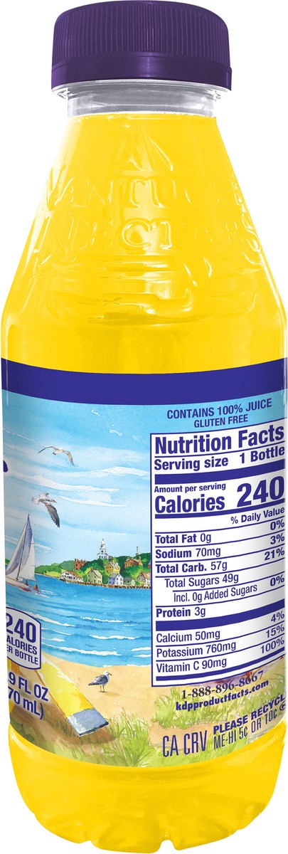 slide 2 of 12, Nantucket Nectars Island Orange- 15.9 fl oz, 15.9 fl oz