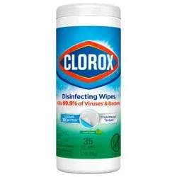 Clorox Disinfecting Bleach Free Cleaning Fresh Scent Wipes