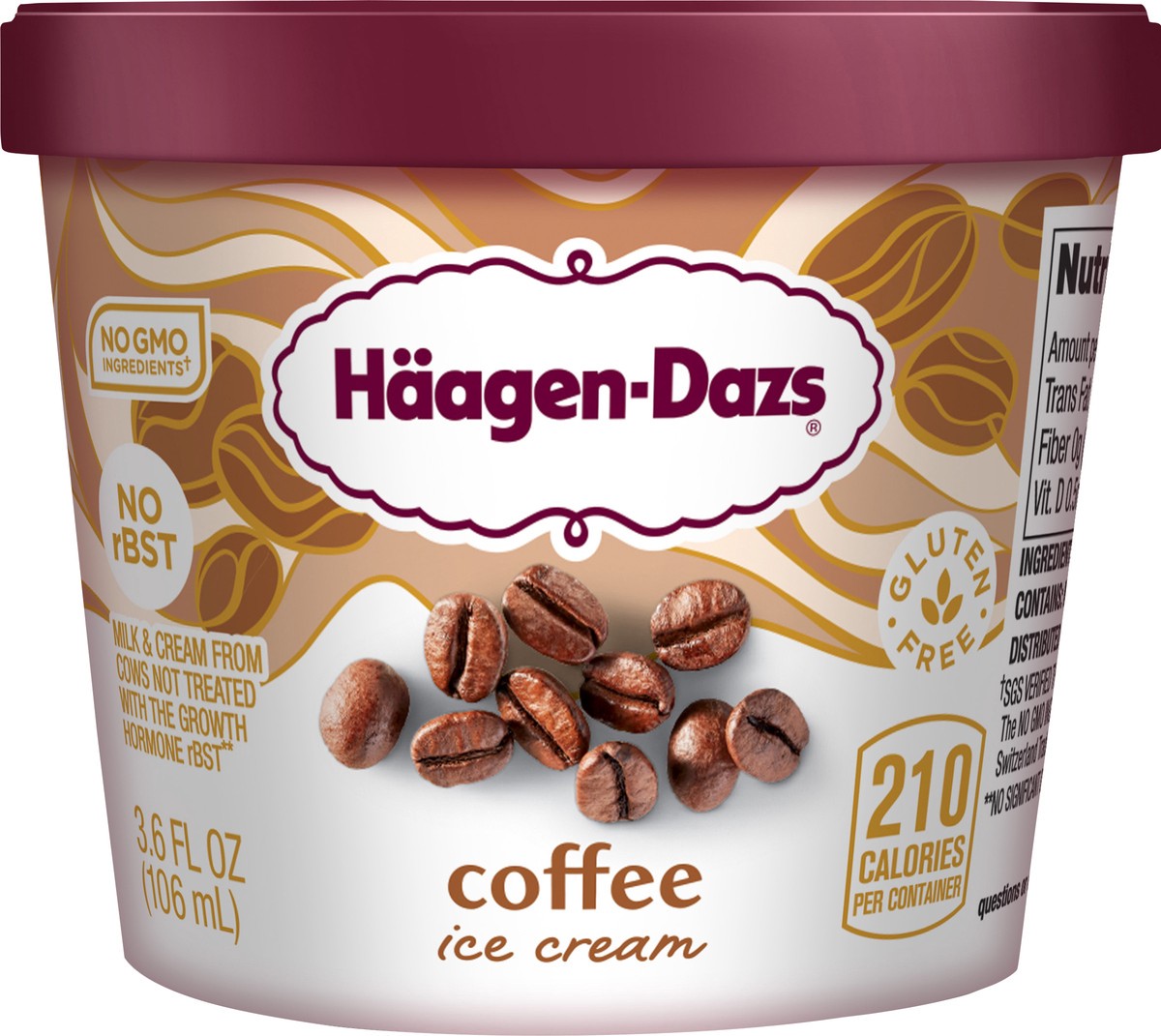 slide 5 of 7, Häagen-Dazs Ice Cream, 3.6 fl oz