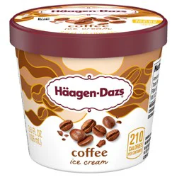 Häagen-Dazs Coffee Ice Cream Cup