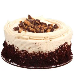 Leonard Novelty Bakery Baby Cakes Peanut Butter Cake 18 oz