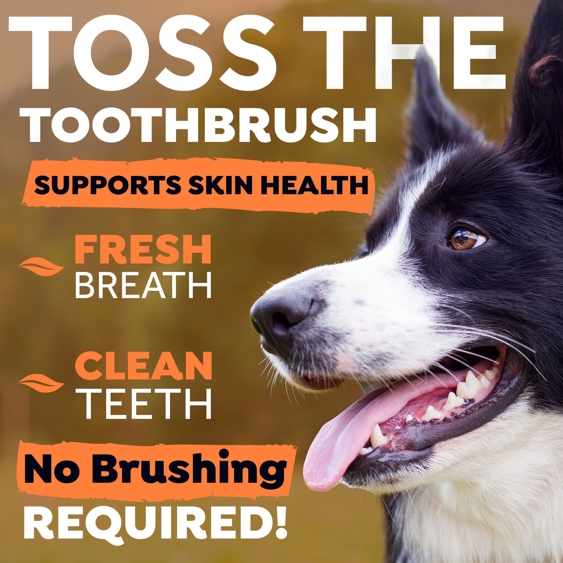 slide 4 of 10, TropiClean Fresh Breath Dental Health Solution Supports Skin Health for Dogs, 16oz, 1 ct