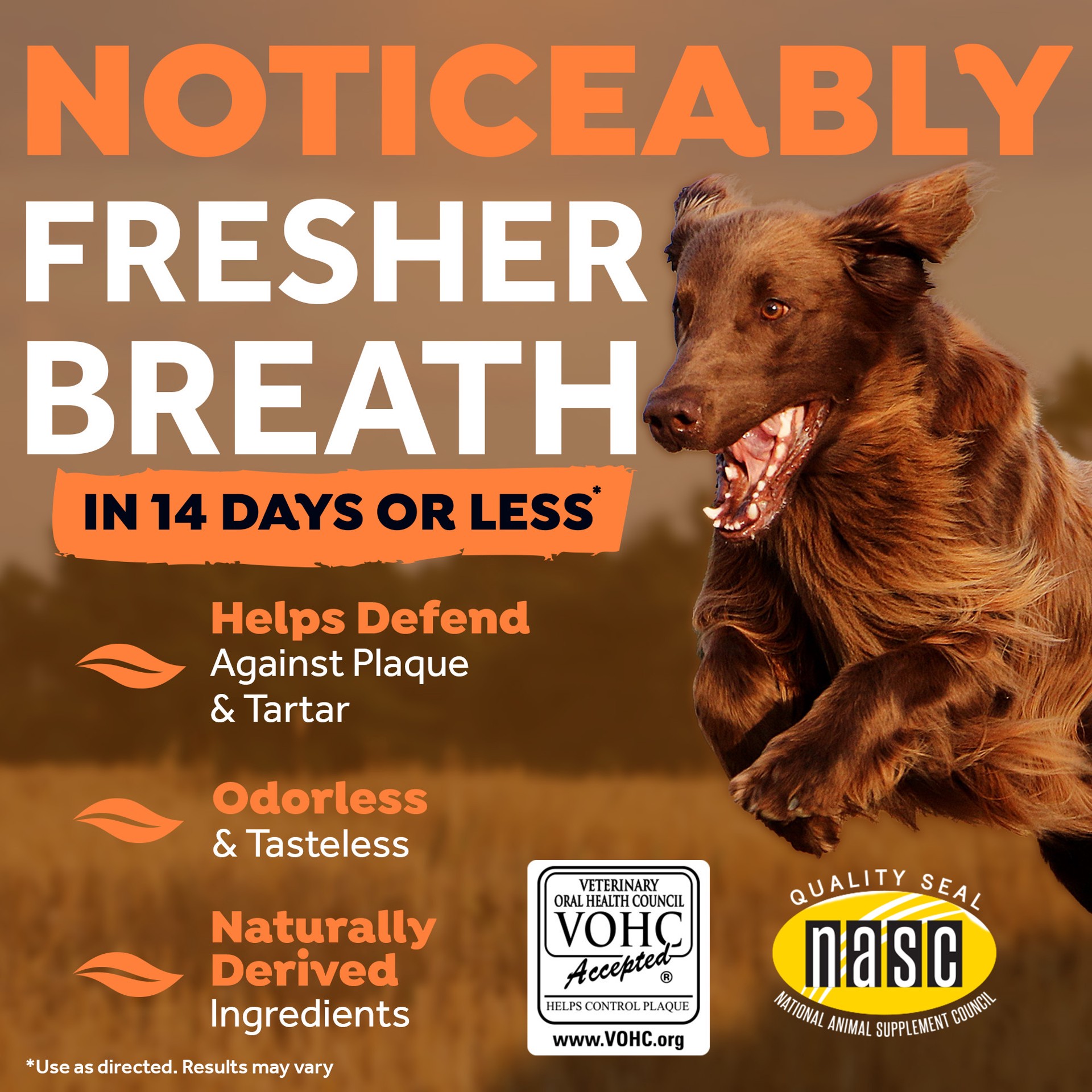 slide 7 of 10, TropiClean Fresh Breath Dental Health Solution Supports Skin Health for Dogs, 16oz, 1 ct