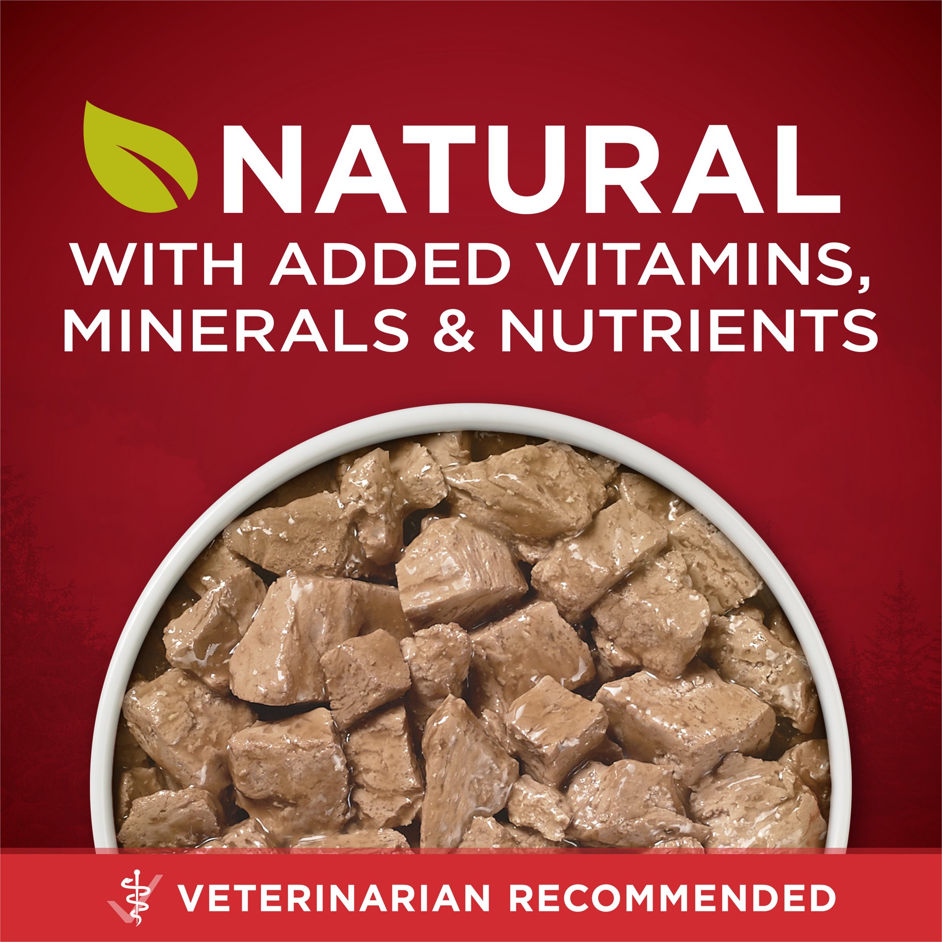 slide 2 of 9, ONE Purina ONE High Protein Wet Dog Food True Instinct Tender Cuts in Dog Food Gravy With Real Chicken and Duck, 13 oz