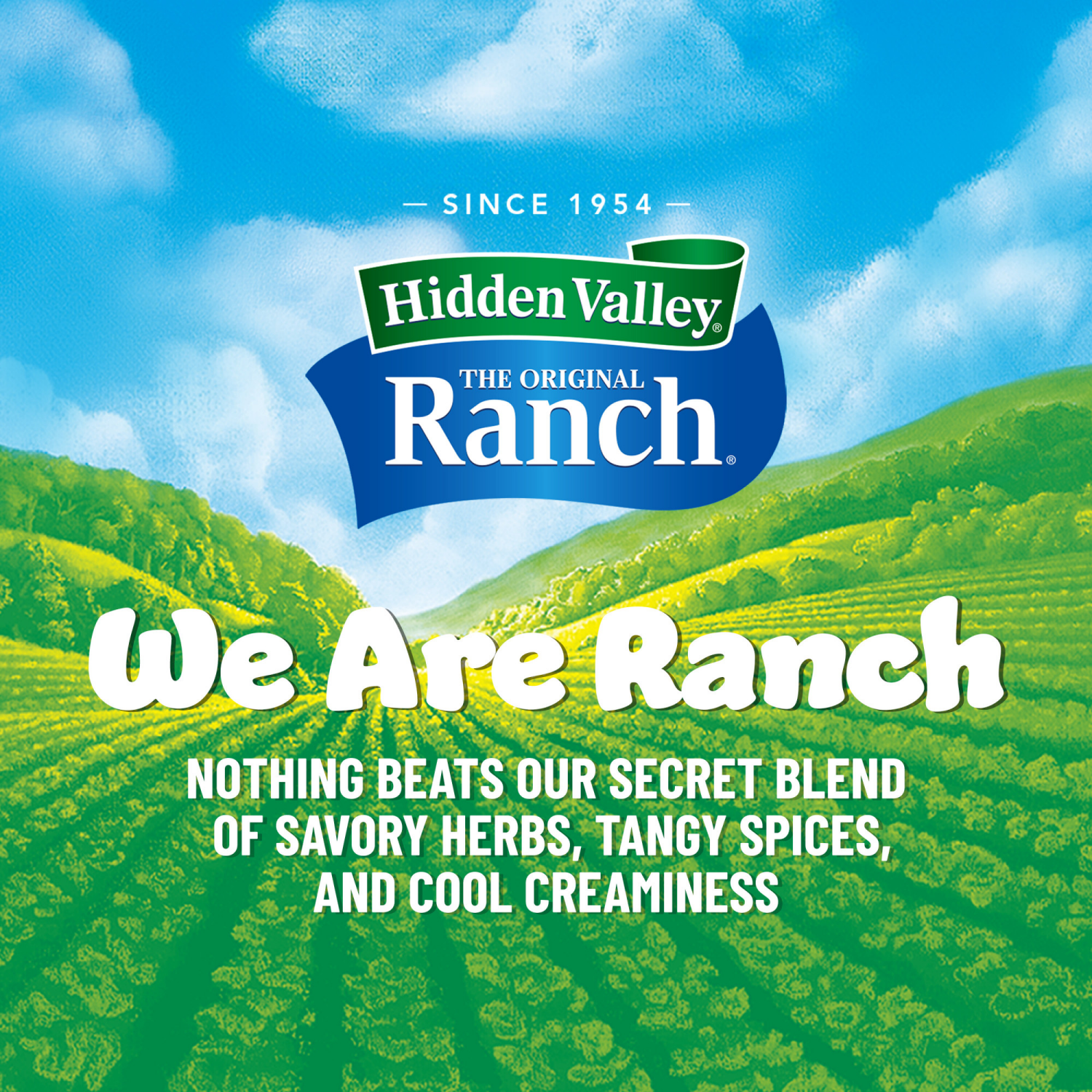 slide 7 of 8, Hidden Valley Buttermilk Ranch Salad Dressing & Topping, Gluten Free - 36 Ounce Bottle, 36 oz