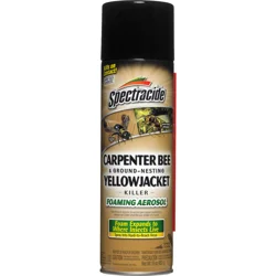 Spectracide Carpenter Bee & Ground-Nesting Yellow Jacket Killer Foaming Aerosol