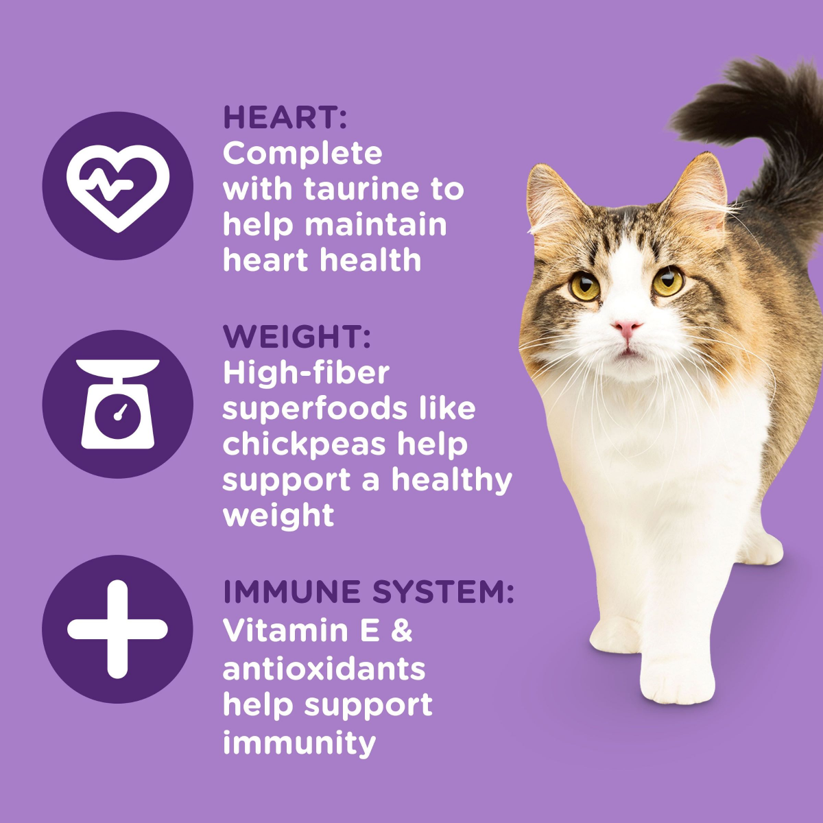 slide 2 of 21, Rachael Ray Nutrish Longevity Chicken, Chickpea & Salmon Recipe Dry Cat Food, 14 lb. Bag, 224 oz