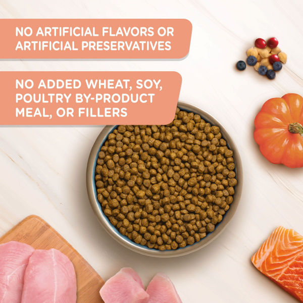 slide 7 of 21, Rachael Ray Nutrish Inner Health Turkey, Chickpeas & Salmon Recipe Dry Cat Food, 6 lb. Bag, 96 oz