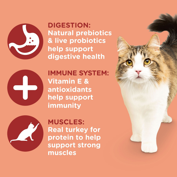 slide 12 of 29, Rachael Ray Nutrish Inner Health Turkey, Chickpeas & Salmon Recipe Dry Cat Food, 14 lb. Bag, 14 lb