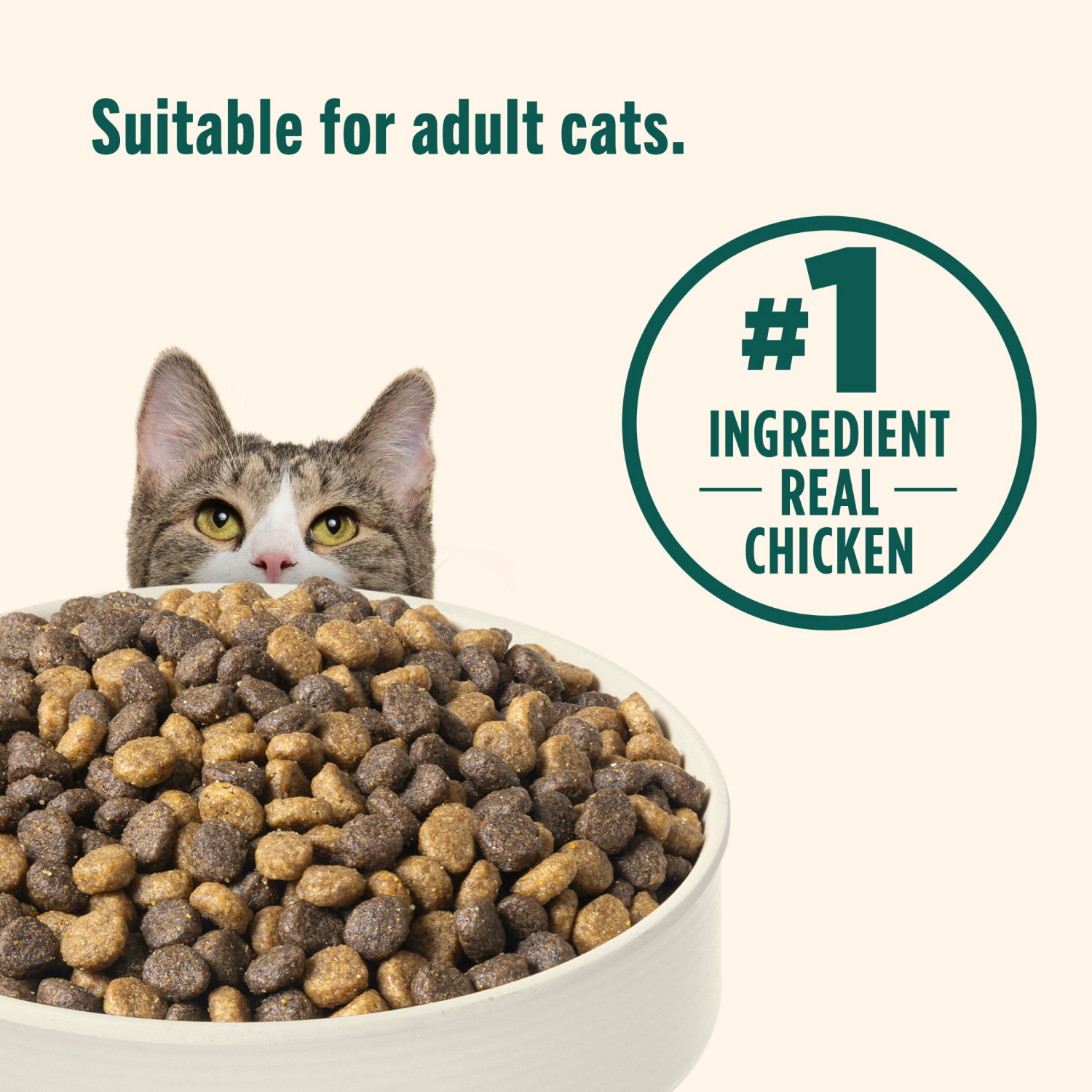 slide 5 of 8, Rachael Ray Nutrish Indoor Complete Chicken With Salmon & Lentils Dry Cat Food, 48 oz