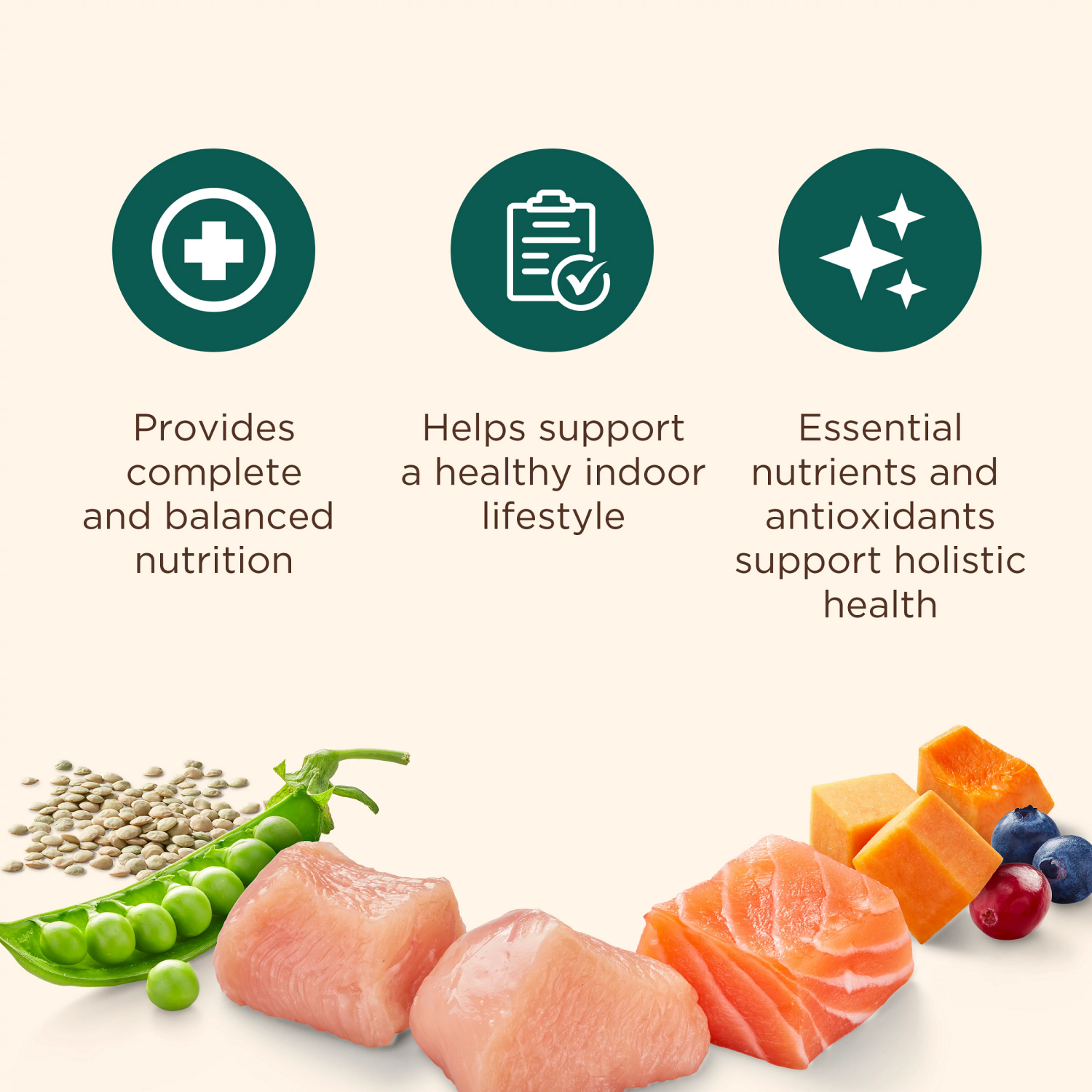 slide 4 of 8, Rachael Ray Nutrish Indoor Complete Chicken with Salmon & Lentils Dry Cat Food, 6 lb