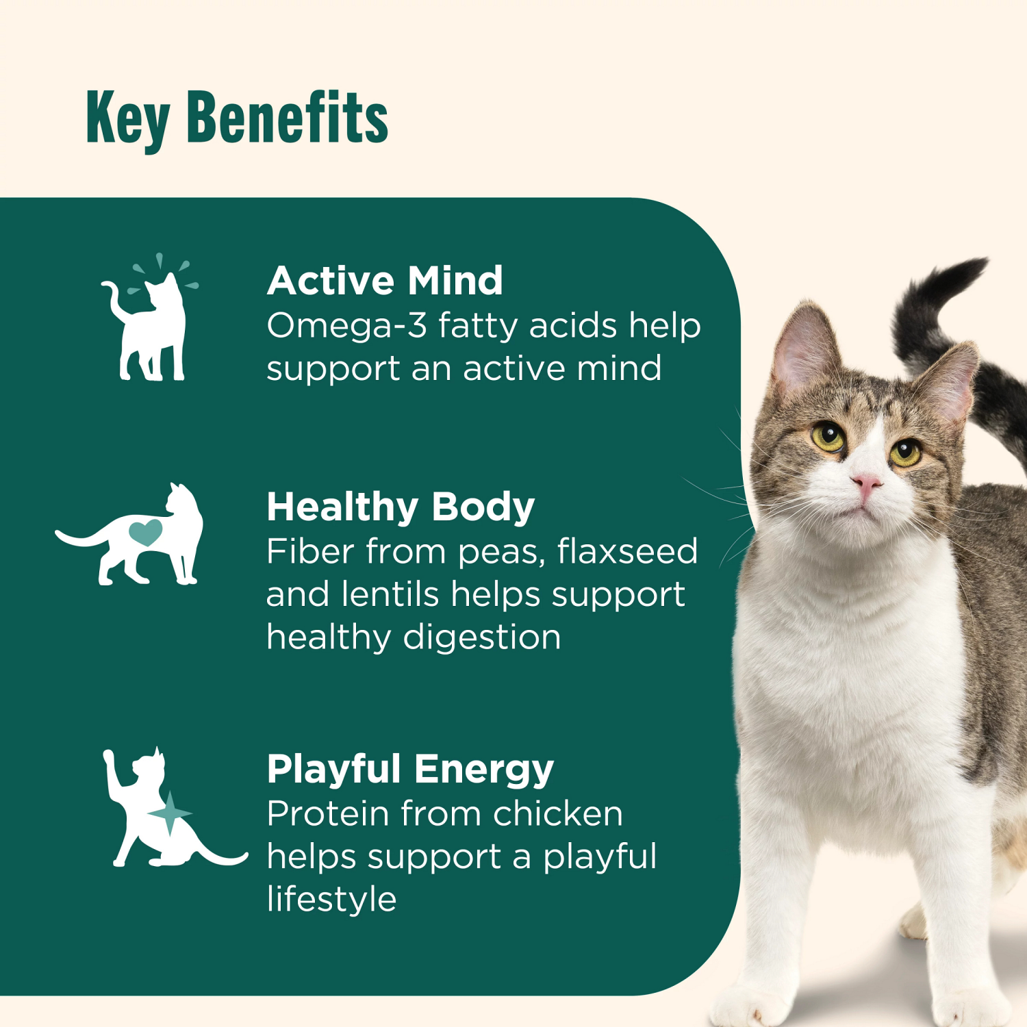 slide 8 of 8, Rachael Ray Nutrish Indoor Complete Chicken with Salmon & Lentils Dry Cat Food, 6 lb