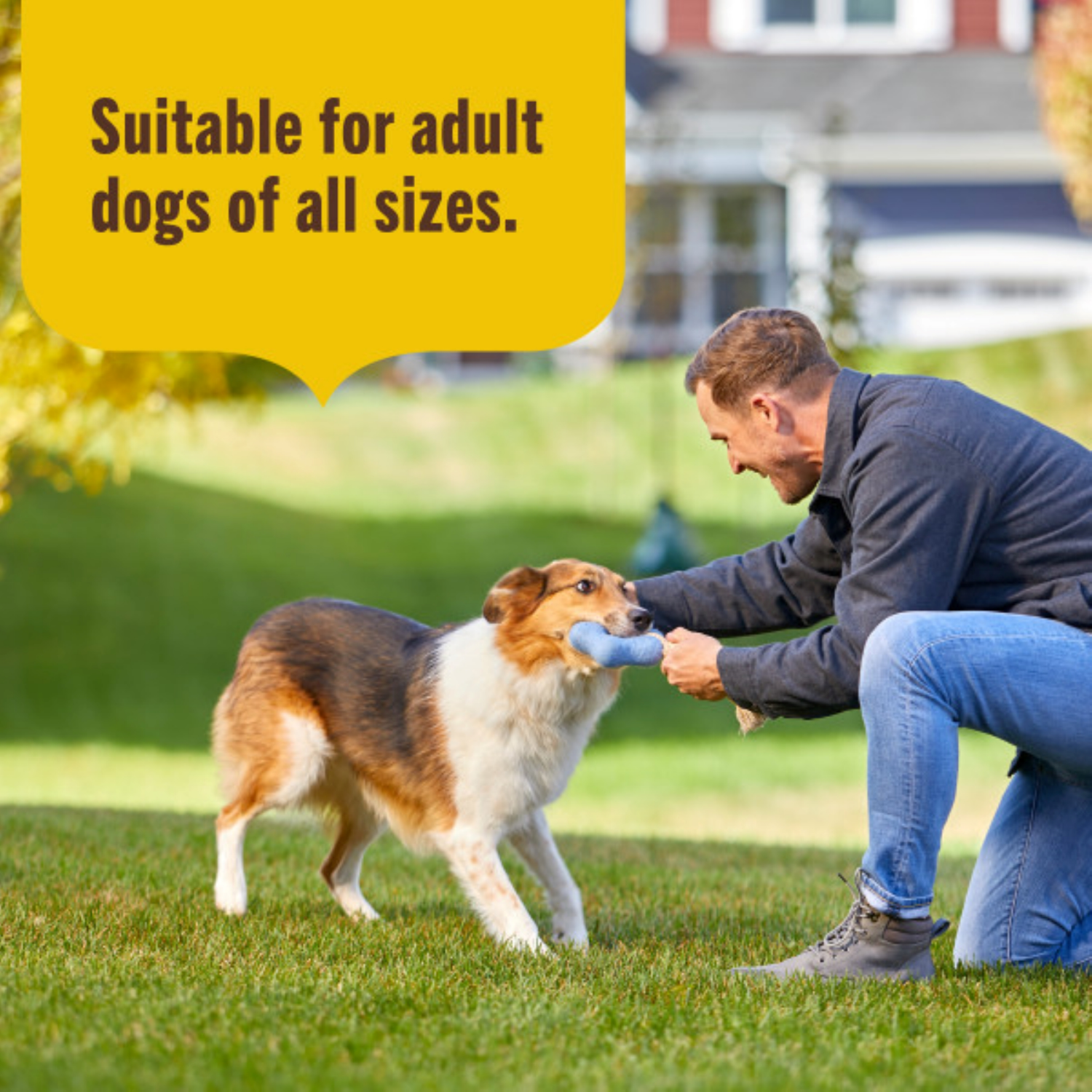 slide 8 of 8, 1/14Lb Rrntsh Lmtd Ingr Lamb Meal And Brn Rice Ddf, 14 lb