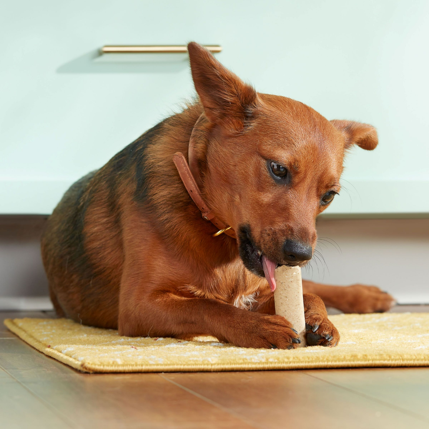 slide 8 of 8, Rachael Ray Nutrish Soup Bones Dog Chews With Real Chicken & Veggies, 12.6 Oz., 6 Count, 6 ct