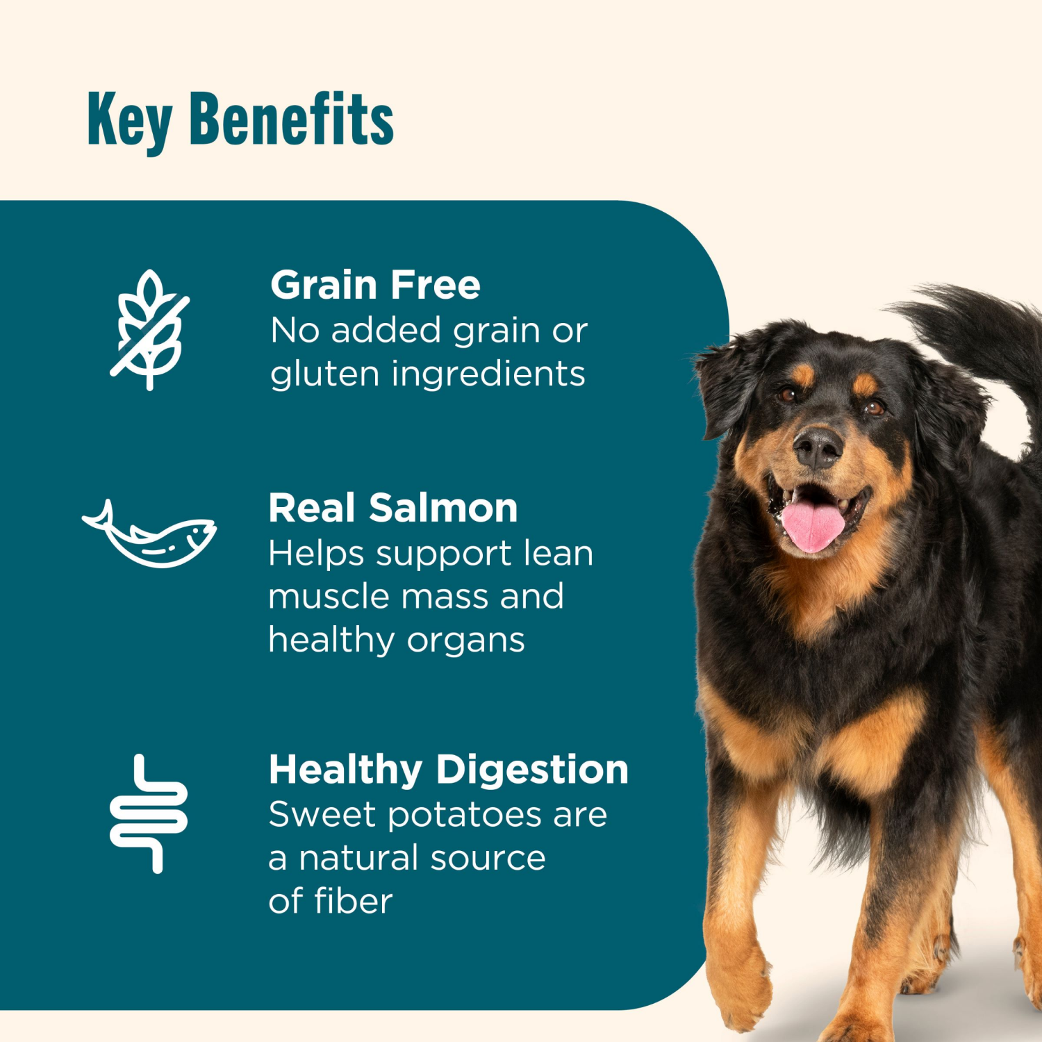 slide 3 of 8, Rachael Ray Nutrish Dog Food, Salmon, 23 lb