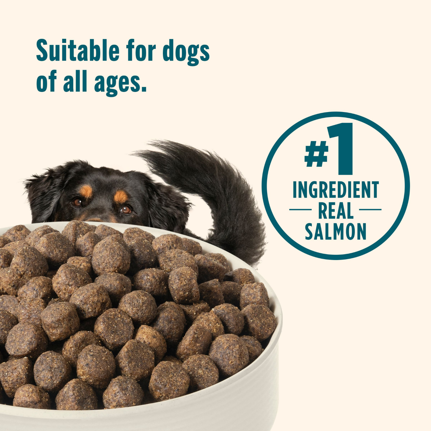 slide 5 of 8, Rachael Ray Nutrish Dog Food, Salmon, 23 lb