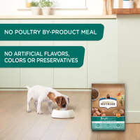 slide 17 of 21, Rachael Ray Nutrish Puppy Real Chicken & Brown Rice Recipe Whole Health Blend Dry Dog Food, 6 lb. Bag (Rachael Ray), 96 oz