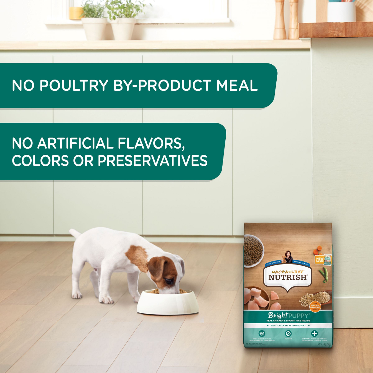 slide 6 of 21, Rachael Ray Nutrish Puppy Real Chicken & Brown Rice Recipe Whole Health Blend Dry Dog Food, 6 lb. Bag (Rachael Ray), 96 oz