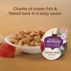 slide 2 of 21, Rachael Ray Nutrish Natural Wet Cat Food, Grain Free, Ocean Fish-A-Licious tub, 2.8 oz
