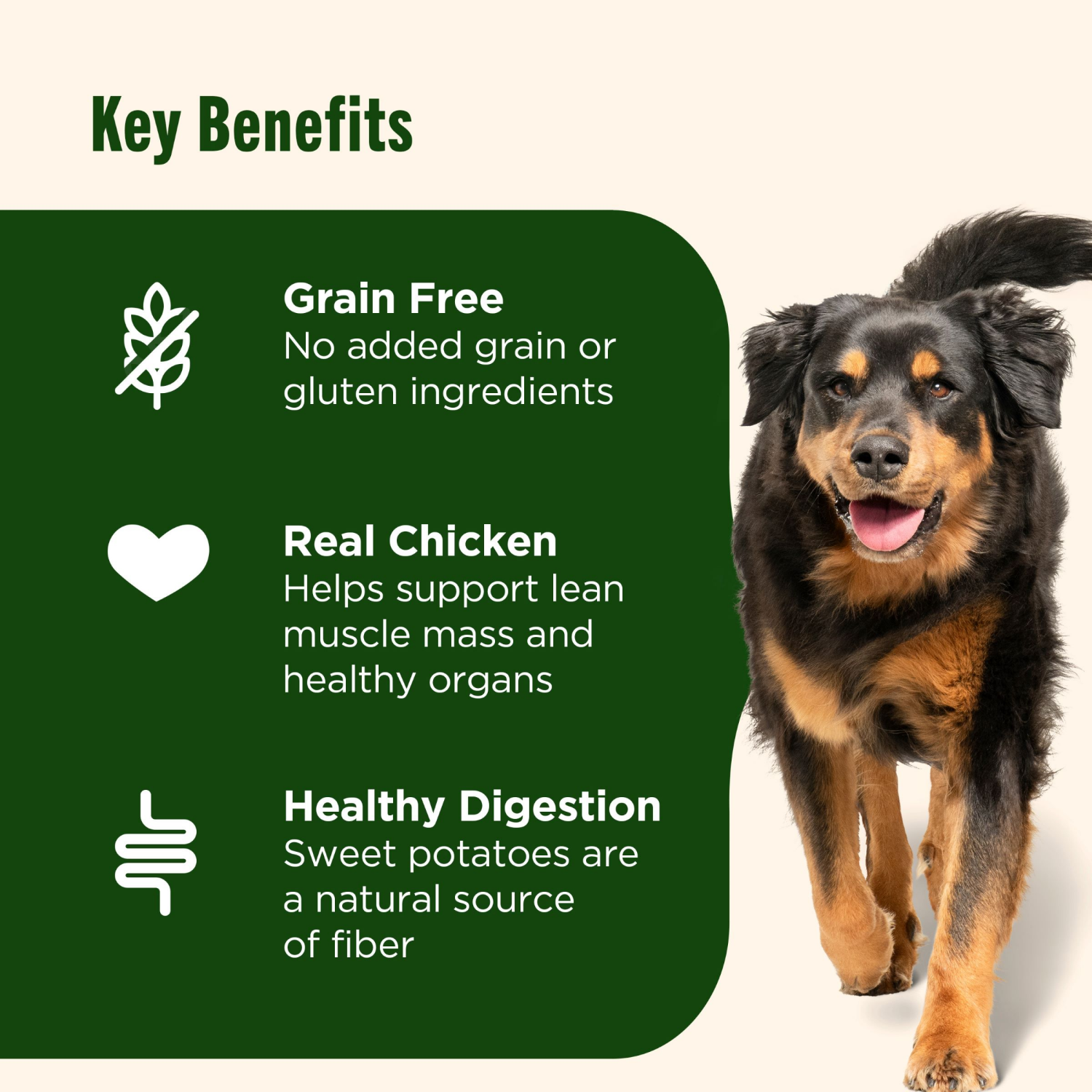 slide 3 of 8, Nutrish Grain Free Chicken and Sweet Potato Recipe Dry Dog Food - 13lbs, 13 fl oz