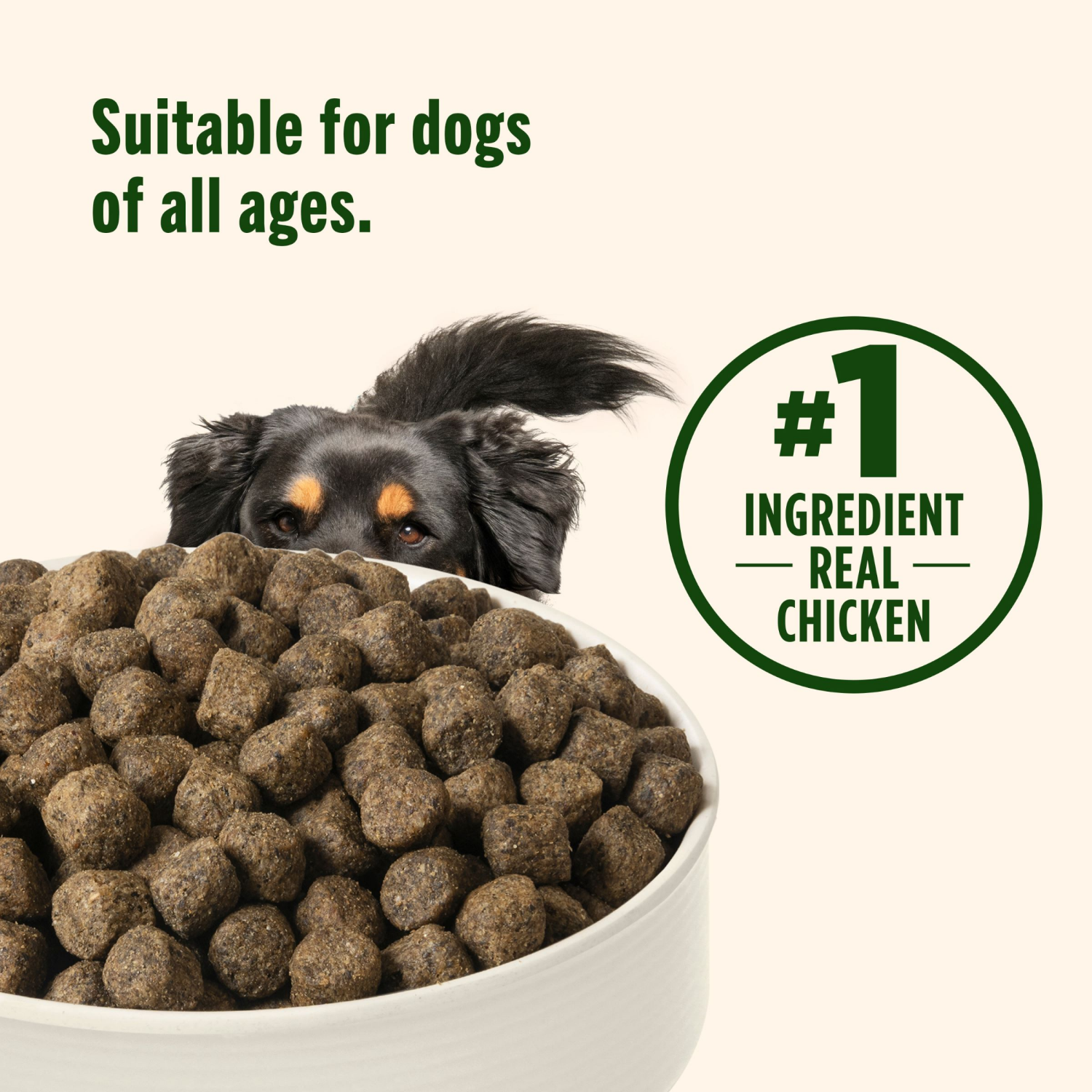 slide 5 of 8, Nutrish Grain Free Chicken and Sweet Potato Recipe Dry Dog Food - 13lbs, 13 fl oz