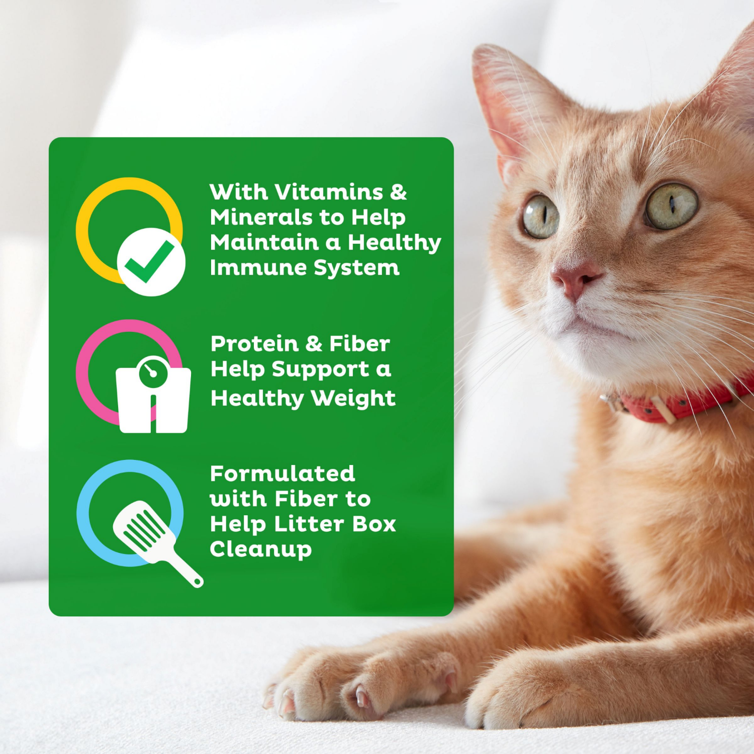 slide 5 of 8, 1/12Lb 9Lives Indr No Burst, 12 lb