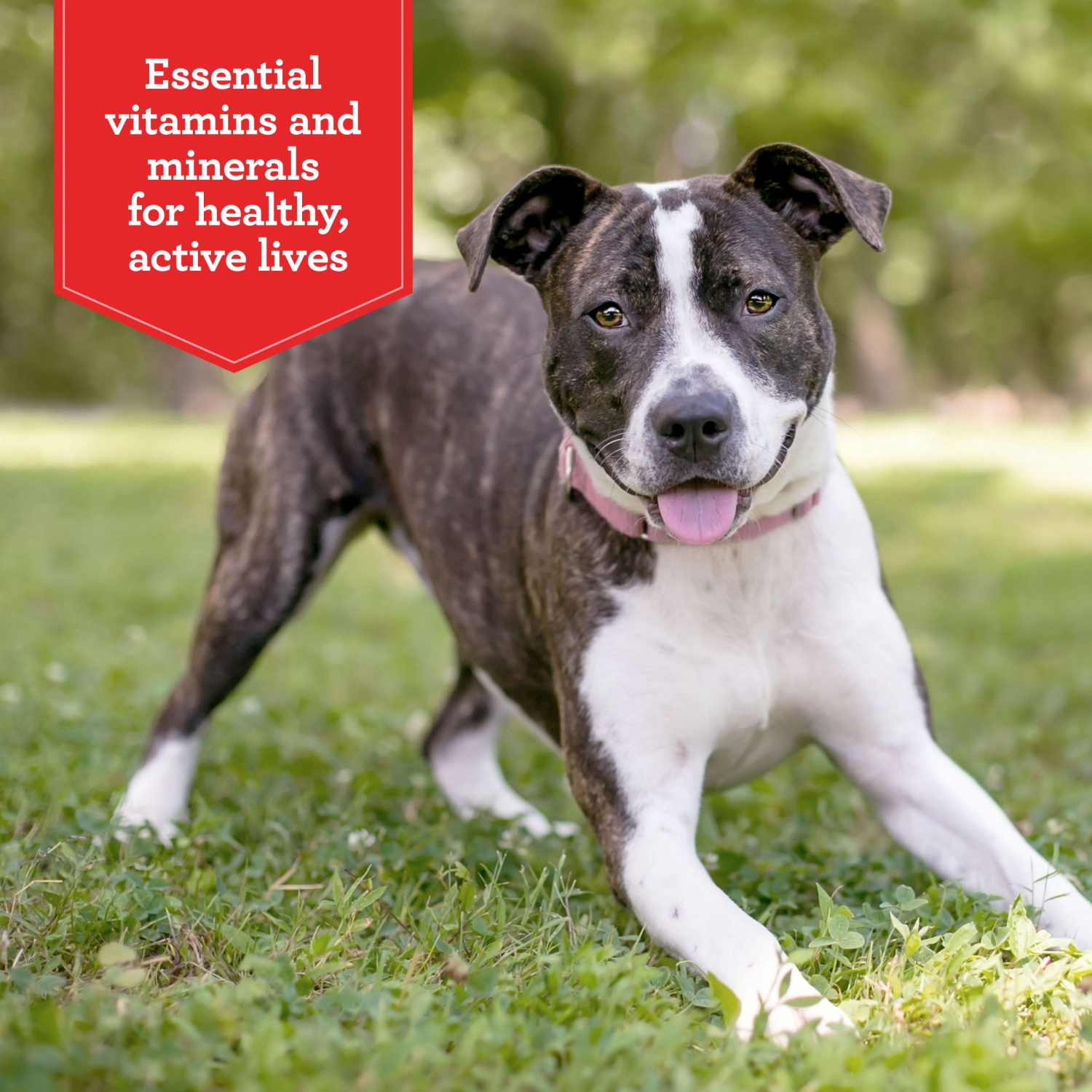 slide 2 of 5, 1/3.5Lb Grvytrn Bfy Clssc, 3.5 lb