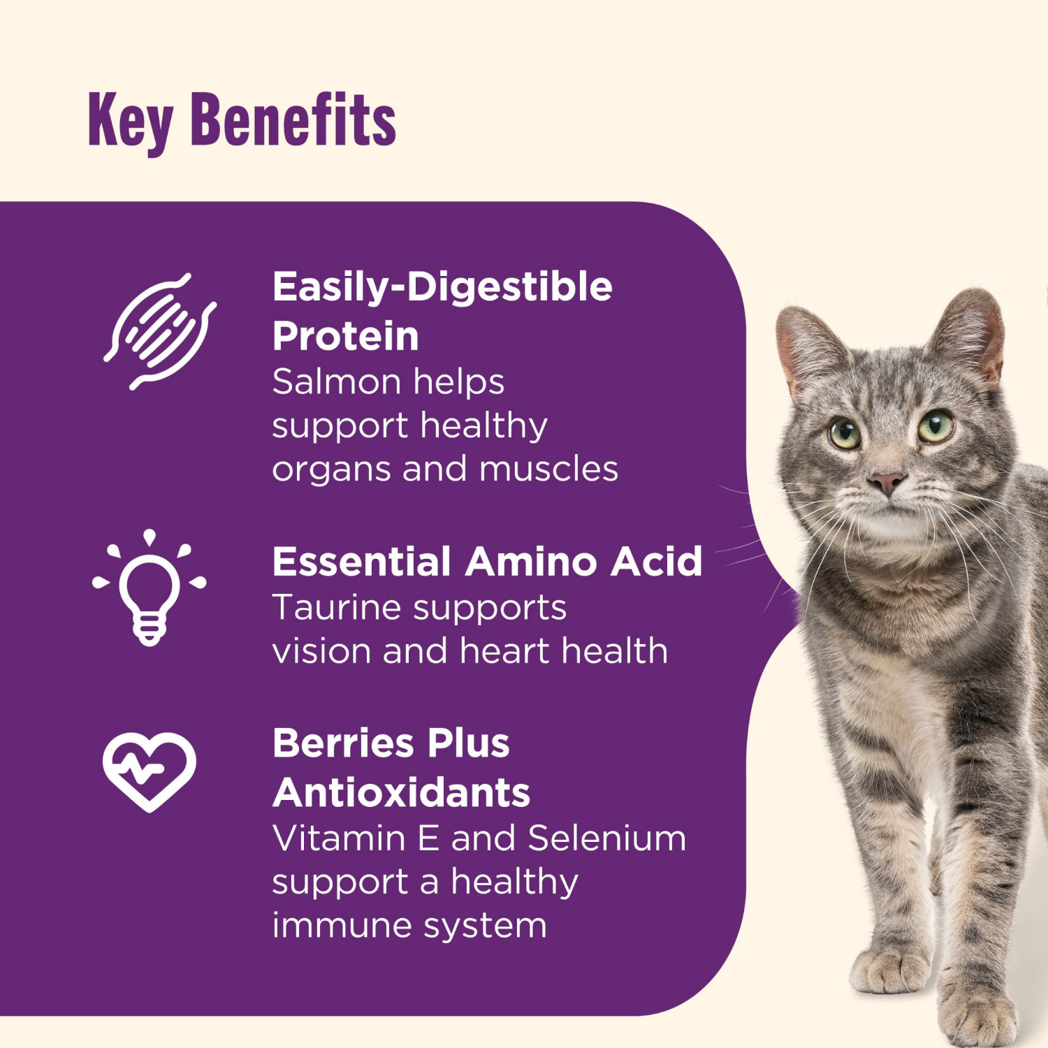 slide 8 of 8, 1/13Lb Rrntsh Snr Hlth Chkn Salmon Chckps, 13 lb