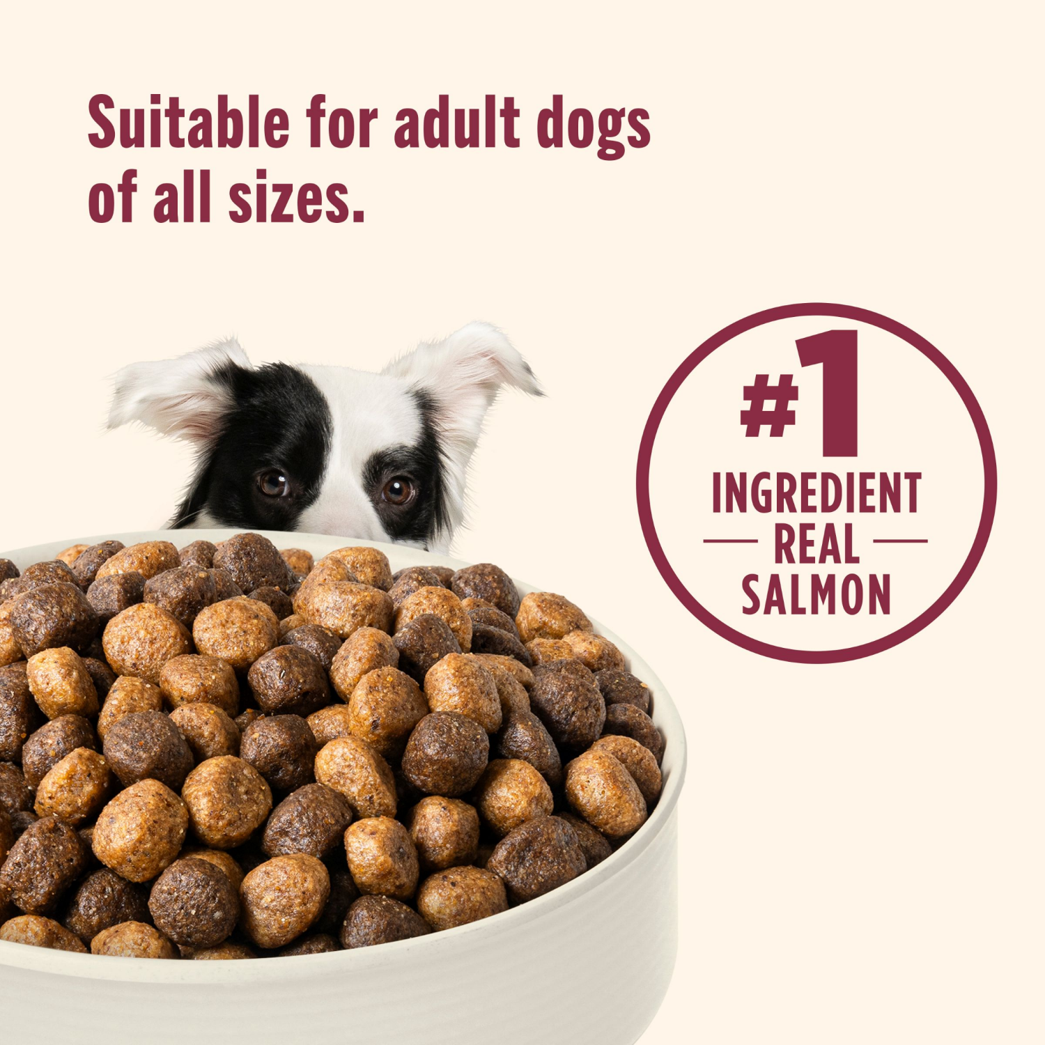 slide 3 of 8, Nutrish Dry Dog Food Whole Health Blend Real Salmon, Veggies & Brown Rice Recipe, 26 Lb. Bag, 416 oz