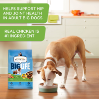 slide 11 of 29, Rachael Ray Nutrish Big Life Savory Chicken, Veggies & Barley Recipe Dry Dog Food, 40 lb. Bag, 640 oz
