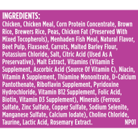 slide 15 of 29, Rachael Ray Nutrish Savory Bites Yummy Chicken & Veggies Recipe Dry Cat Food, 2.5 lb. Bag, 40 oz