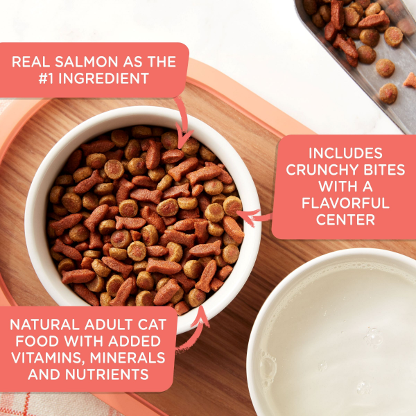 slide 8 of 29, Rachael Ray Nutrish Savory Bites Tasty Salmon & Veggies Recipe Dry Cat Food, 12 lb. Bag, 12 lb