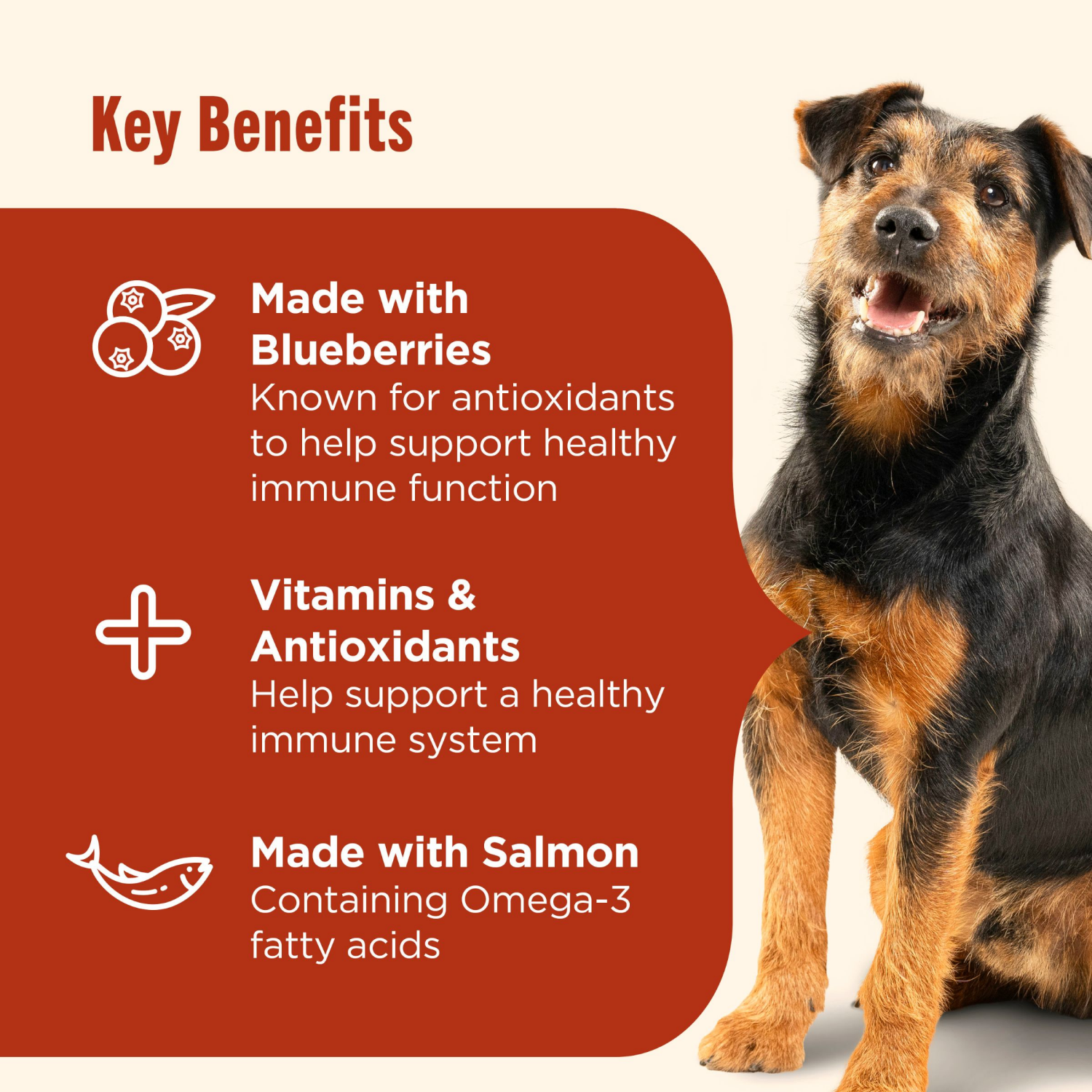 slide 3 of 7, 1/13Lb Rrntsh Immne Chkn Salmon Ddf, 13 lb