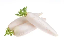 Fresh Icicle Radish