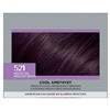 slide 8 of 21, L'Oréal Feria Permanent Hair Color Gel - Cool Amethyst, 1 ct