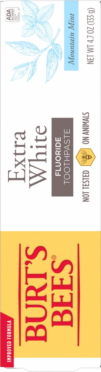slide 2 of 3, Burt's Bees Burt’s Bees Extra White Toothpaste, Fluoride Toothpaste, Natural Flavor, Mountain Mint, 4.7 oz, 4.7 oz