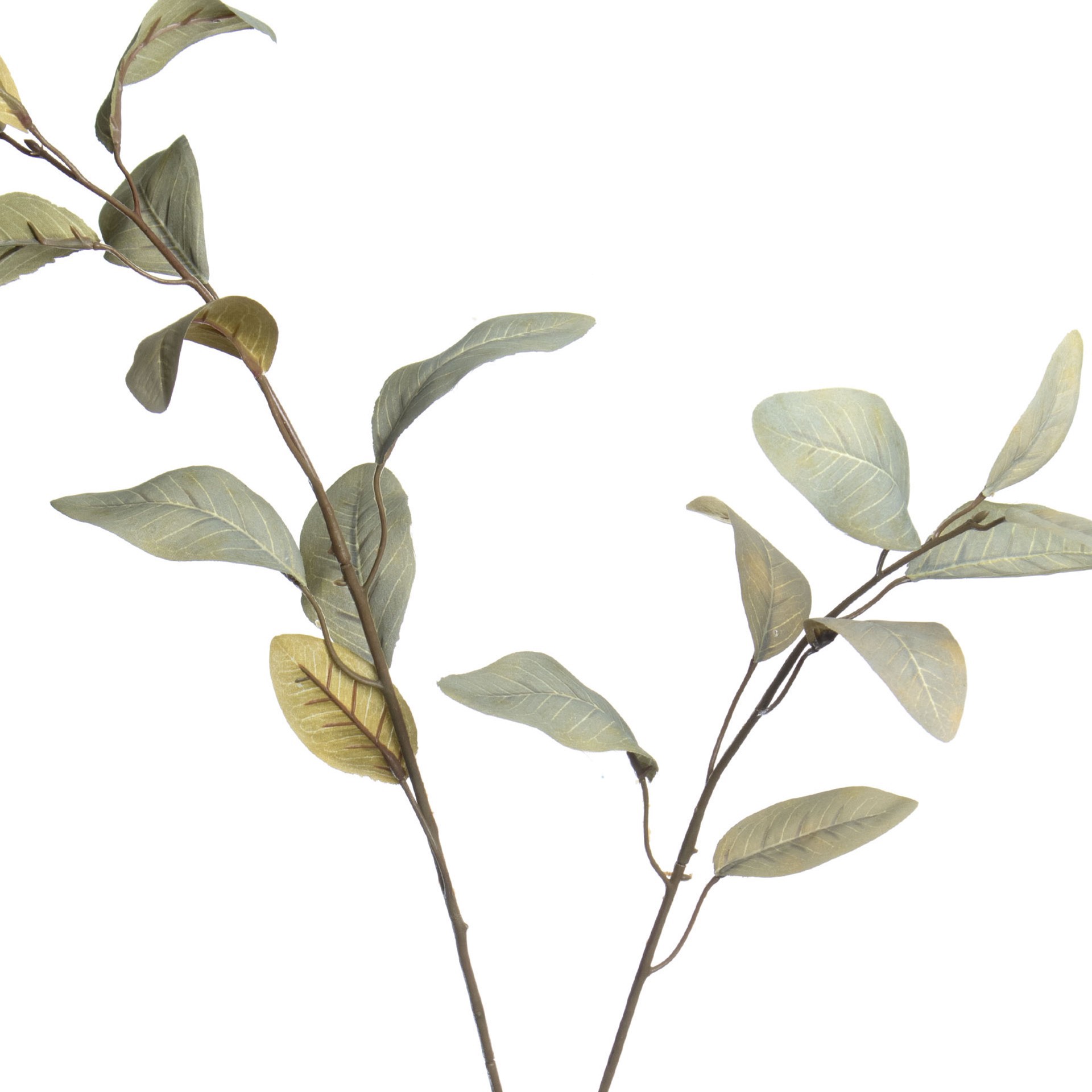 slide 3 of 3, Green Feather Eucalyptus Stem By Ashland, 33.5 in