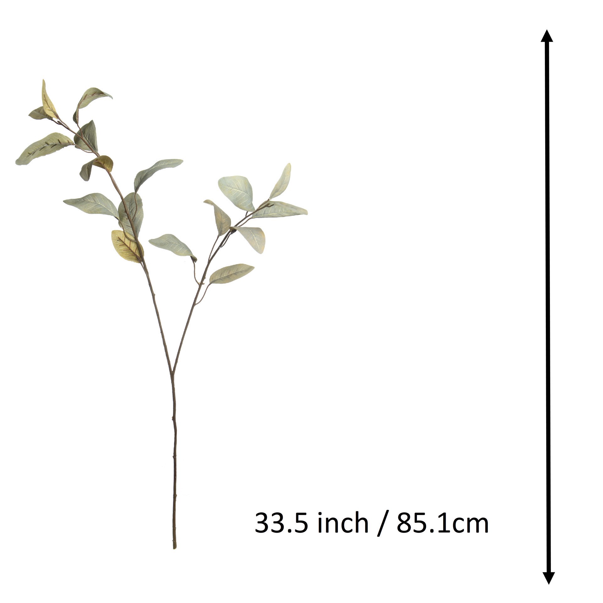 slide 2 of 3, Green Feather Eucalyptus Stem By Ashland, 33.5 in
