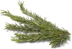 Rosemary - 1 Bunch