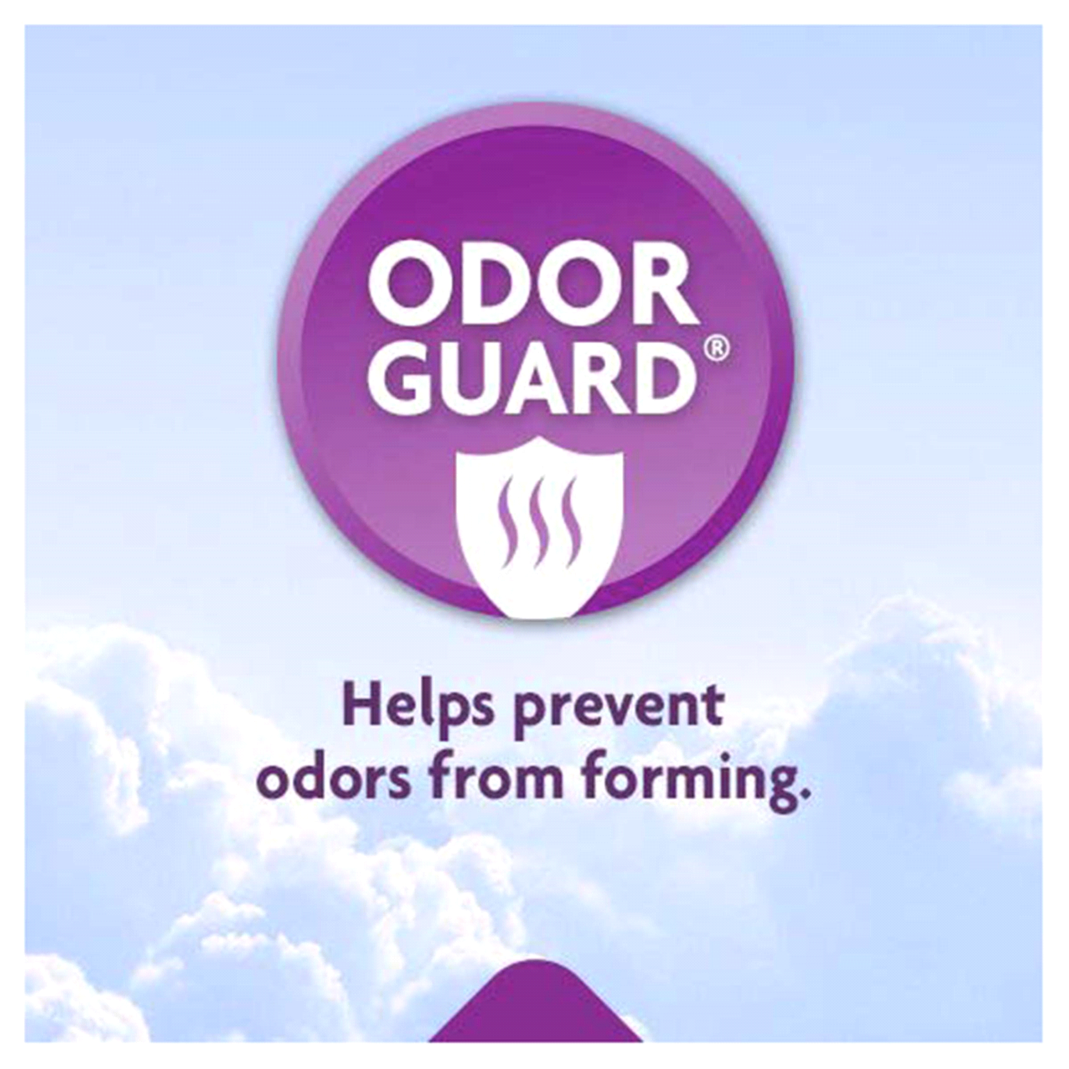 slide 4 of 4, Meijer Underwear for Women, Maximum Absorbency, Large, 54 ct, 54 ct