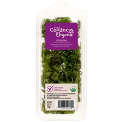 True Goodness Organic Cilantro, .5 Oz