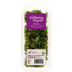 True Goodness Organic Cilantro, .5 Oz