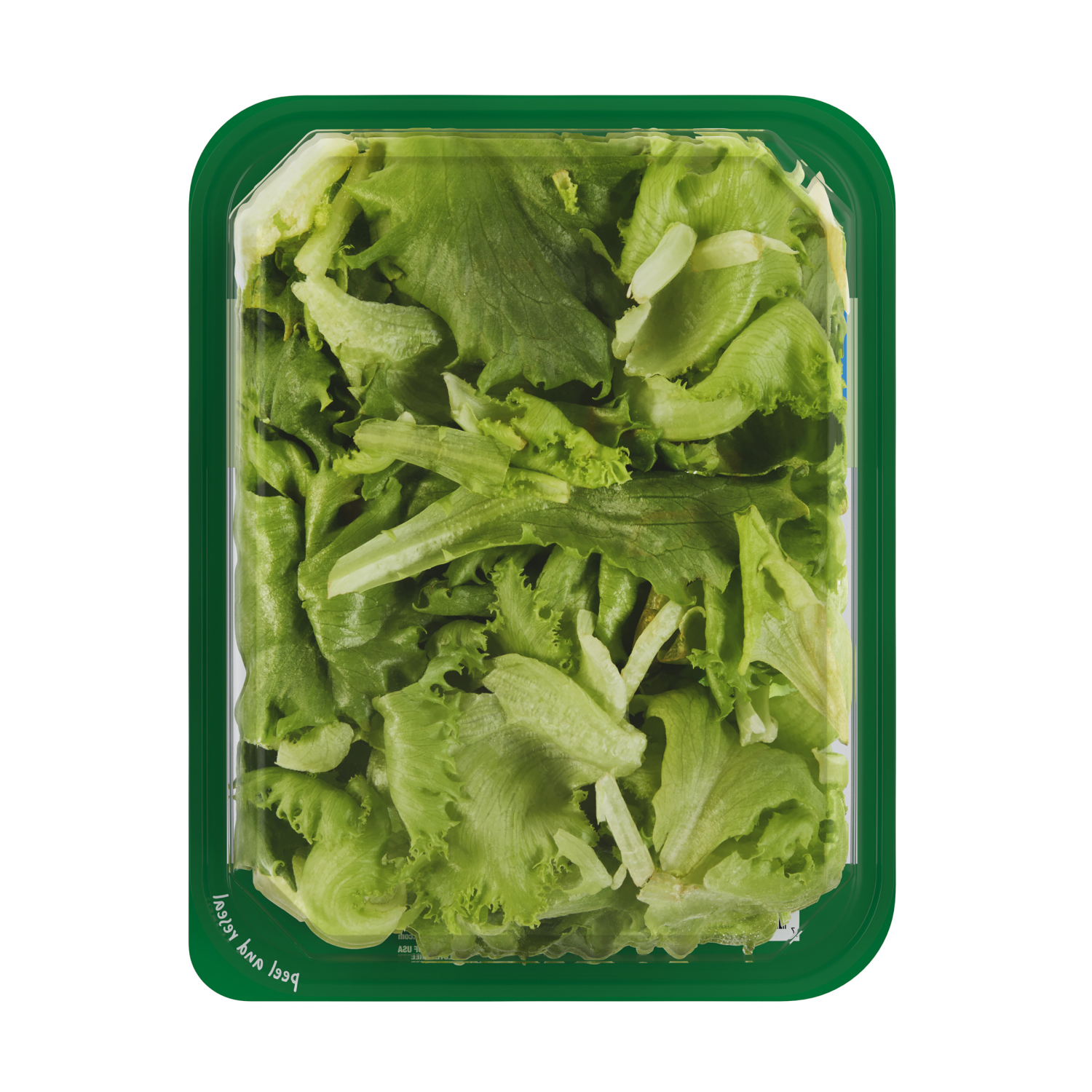 slide 3 of 6, Fresh from Meijer Baby Green Leaf Lettuce, 4 oz, 4 oz