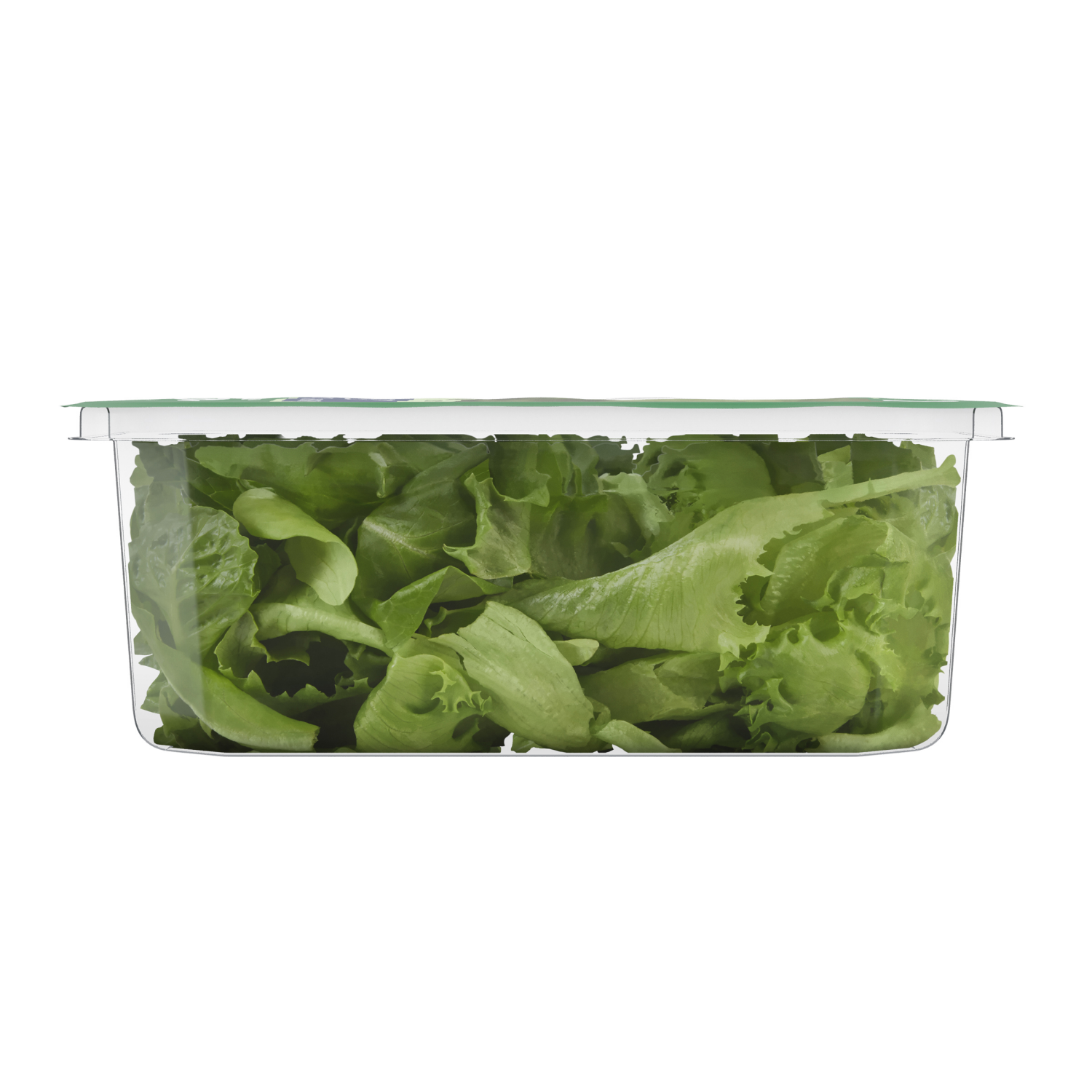 slide 2 of 6, Fresh from Meijer Crunchy Romaine, 4 oz, 4 oz