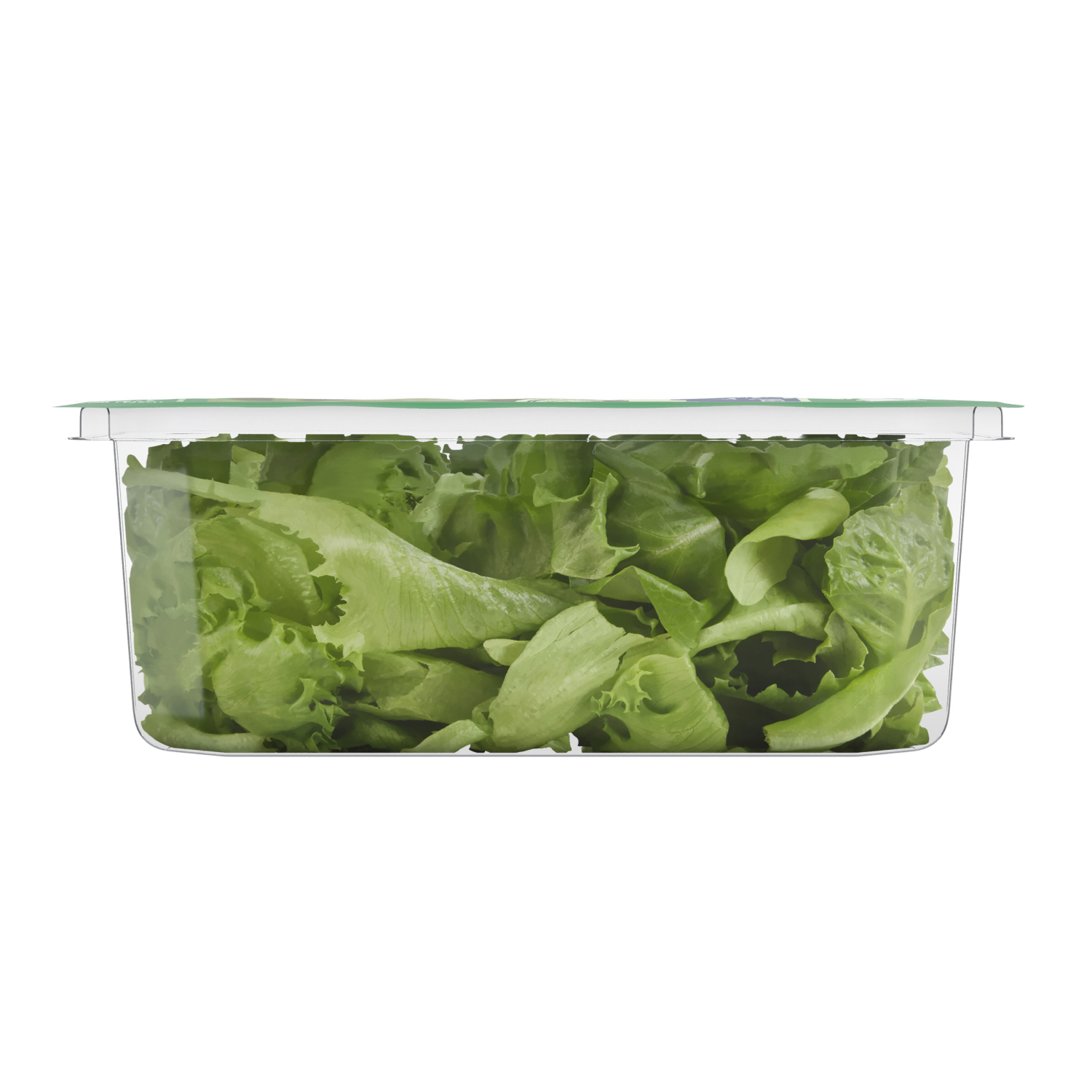 slide 4 of 6, Fresh from Meijer Crunchy Romaine, 4 oz, 4 oz