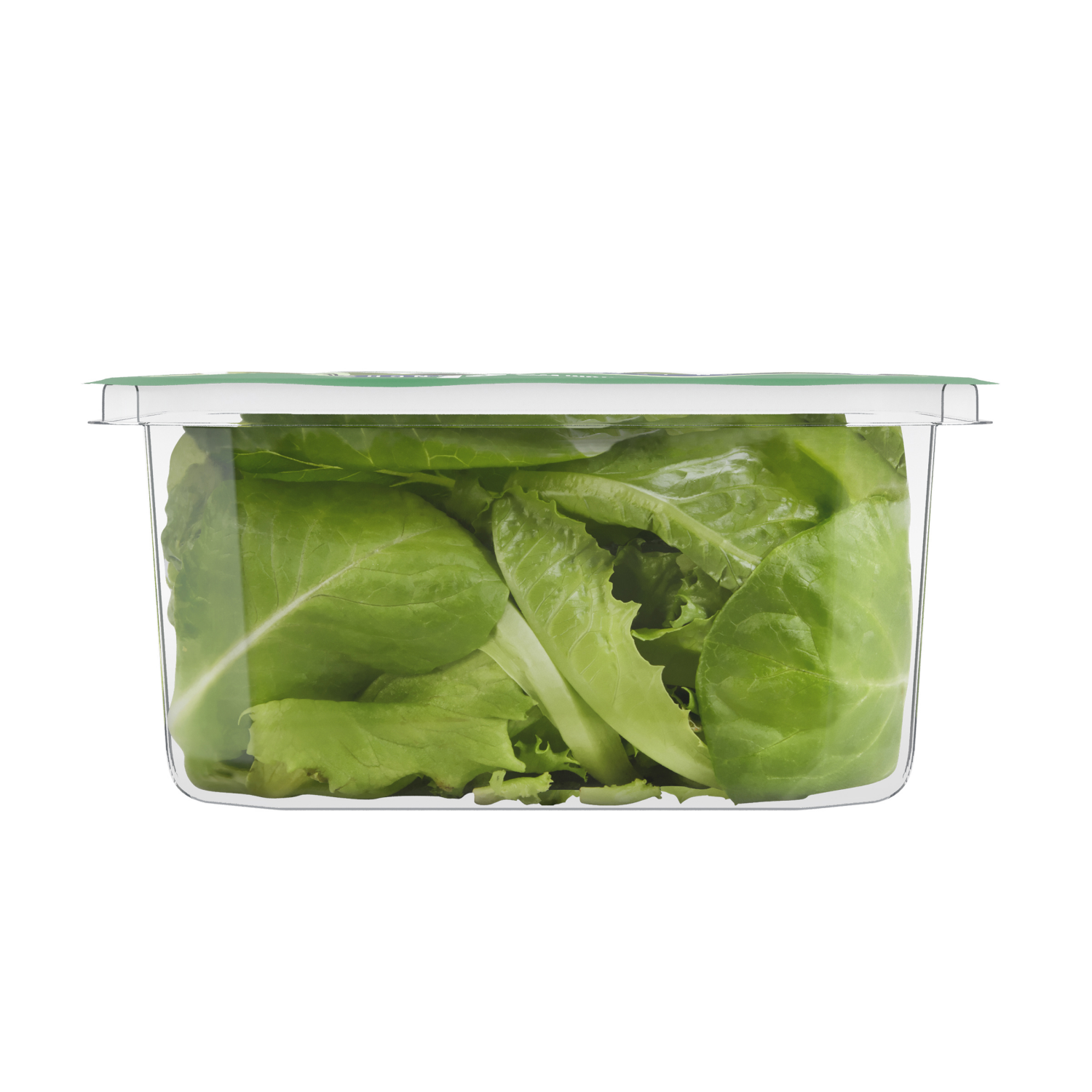 slide 6 of 6, Fresh from Meijer Crunchy Romaine, 4 oz, 4 oz